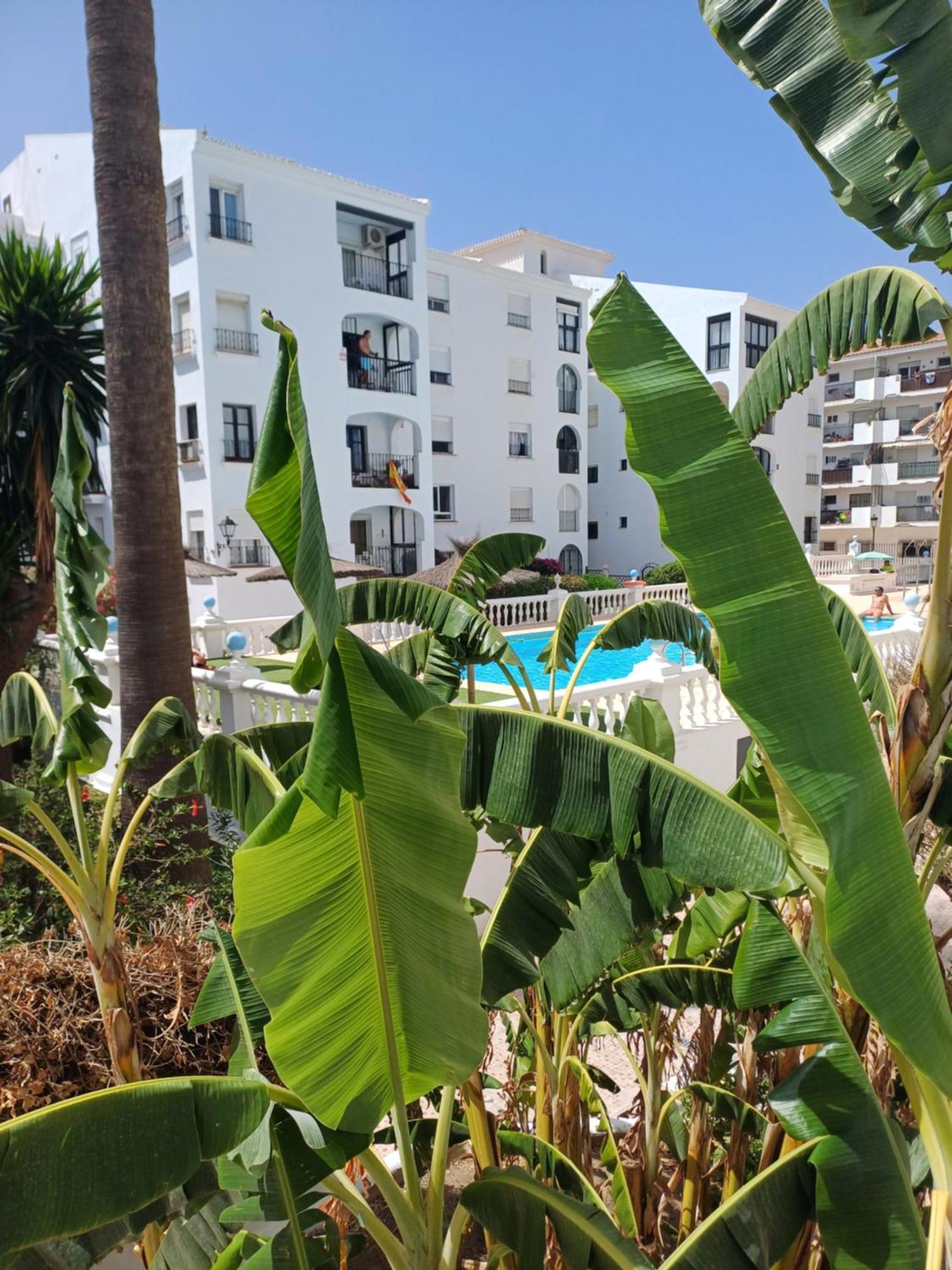 Beautiful Beachfront Newly Renovated 2 Bedroom Apartment With Swimming Pool And Garden San Luis de Sabinillas Exterior foto